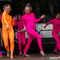 Hit refresh if image not shown