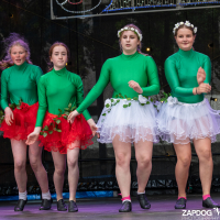 Hit refresh if image not shown