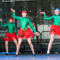 Hit refresh if image not shown