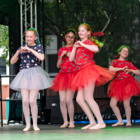 Hit refresh if image not shown