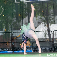 Hit refresh if image not shown