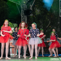 Hit refresh if image not shown