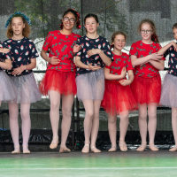 Hit refresh if image not shown