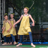 Hit refresh if image not shown