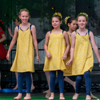 Hit refresh if image not shown