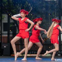 Hit refresh if image not shown