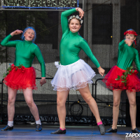 Hit refresh if image not shown