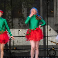 Hit refresh if image not shown