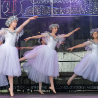 Hit refresh if image not shown