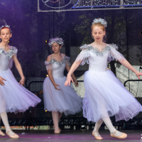 Hit refresh if image not shown