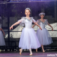 Hit refresh if image not shown