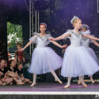 Hit refresh if image not shown