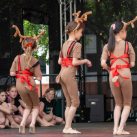 Hit refresh if image not shown