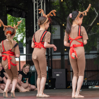 Hit refresh if image not shown