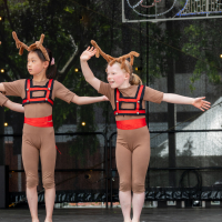 Hit refresh if image not shown