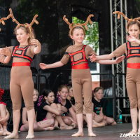 Hit refresh if image not shown