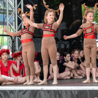 Hit refresh if image not shown