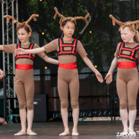 Hit refresh if image not shown