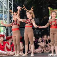 Hit refresh if image not shown