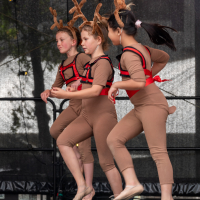 Hit refresh if image not shown