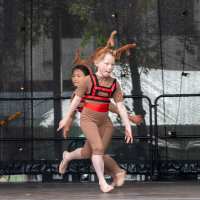 Hit refresh if image not shown