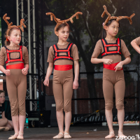 Hit refresh if image not shown