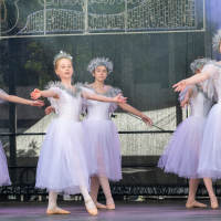 Hit refresh if image not shown