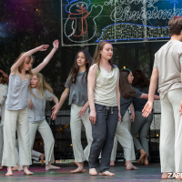 Hit refresh if image not shown