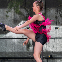 Hit refresh if image not shown