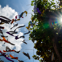 Hit refresh if image not shown