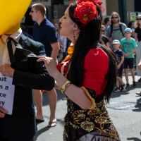 Hit refresh if image not shown