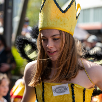 Hit refresh if image not shown