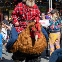 Hit refresh if image not shown