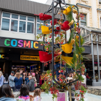 Hit refresh if image not shown