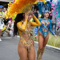 Hit refresh if image not shown