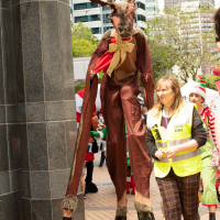 Hit refresh if image not shown