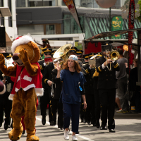 Hit refresh if image not shown