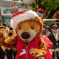 Hit refresh if image not shown