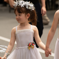 Hit refresh if image not shown