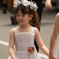 Hit refresh if image not shown