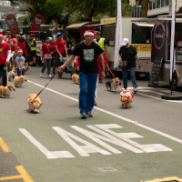 Hit refresh if image not shown