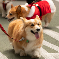 Hit refresh if image not shown