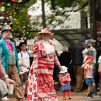 Hit refresh if image not shown