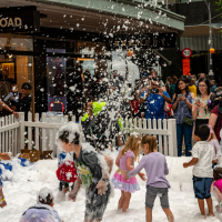 Hit refresh if image not shown