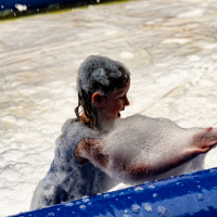 Hit refresh if image not shown