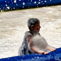 Hit refresh if image not shown