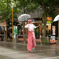 Hit refresh if image not shown