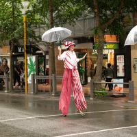 Hit refresh if image not shown