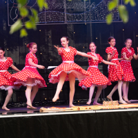 Hit refresh if image not shown