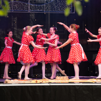 Hit refresh if image not shown